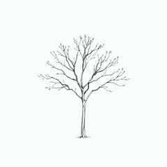 vector tree silhouette line art on white