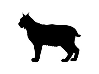 Bobcat silhouette vector flat illustration design.