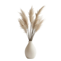 A vase filled with pampas grass stands elegantly against a stark [Transparent Background PNG]. 