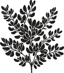Acacia flower branch silhouette vector illustration isolated on a white background