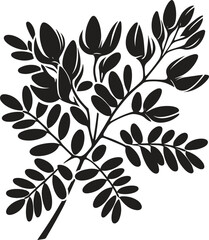 Acacia flower branch silhouette vector illustration isolated on a white background