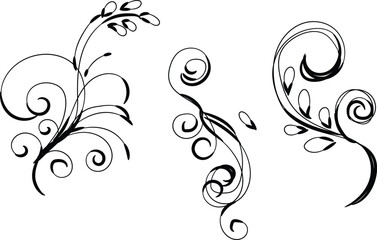 Three Elegant Black Floral Swirl Designs Isolated on White Background