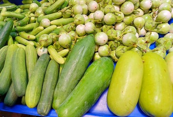 Fresh Green Vegetables Cucumbers Eggplants and Winter Melons at Market