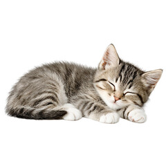 Obraz premium A small tabby kitten sleeps soundly on a white surface with its eyes shut.