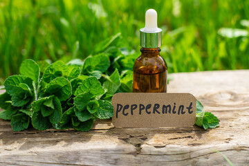 Peppermint extract essential oil and supplements. Selective focus.