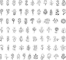 Spring Flowers SVG | Floral Bloom Clipart | Botanical Cut File for Cricut & Crafts

Hand Drawn Spring Flower SVG | Wildflower Silhouette | Garden Bloom Design

Spring Bouquet SVG | Elegant Floral Arra