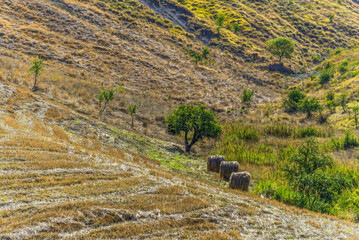 summer countryside landscape inside val d'agri, basilicata