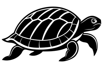 turtle vector illustration