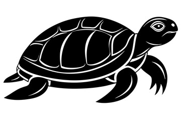 turtle vector illustration