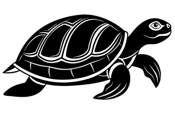 turtle vector illustration