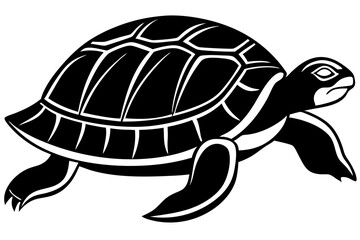 turtle vector illustration