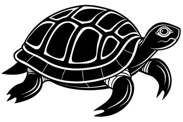 turtle vector illustration