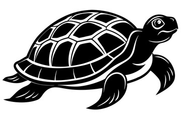turtle vector illustration