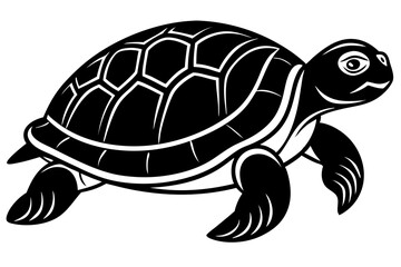 turtle vector illustration