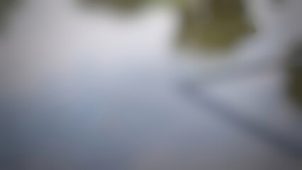 Abstract Blurred Background Soft Grey and Green Tones Nature Inspired Out of Focus