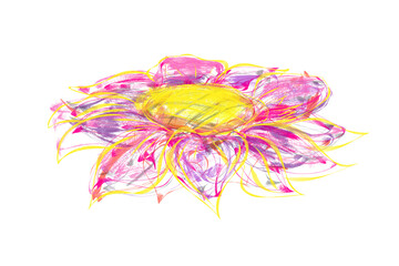 watercolor hand drawn flower with white background