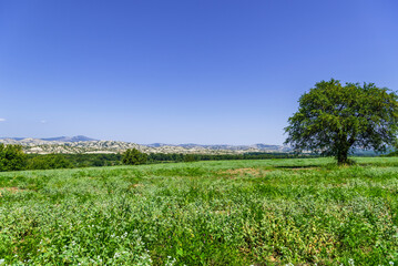 summer countryside landscape inside val d'agri, basilicata