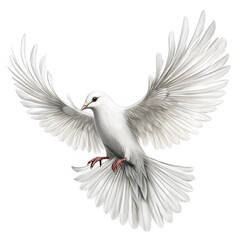 Obraz premium A beautiful white gracefully soars through the air with outstretched wings.