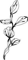 Elegant Black and White Floral Branch Line Art Botanical Illustration