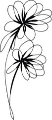 Elegant Minimalist Line Art Drawing of Two Simple Flowers