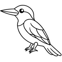 Obraz premium Common Kingfisher illustration white background