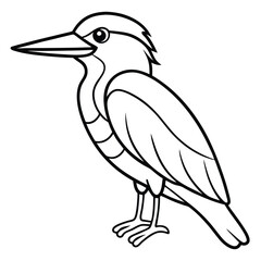 Obraz premium Common Kingfisher illustration white background
