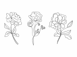 hand drawn flowers