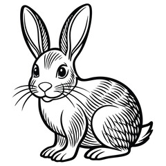 Obraz premium Cottontail Rabbit illustration white background