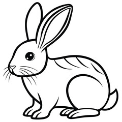 Obraz premium Cottontail Rabbit illustration white background