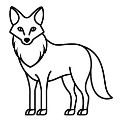 Obraz premium Coyote illustration white background