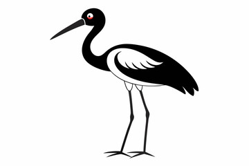 Fototapeta premium black crowned night heron