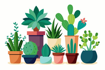 Fototapeta premium cactus in a pot