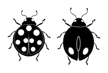 Obraz premium collection of insects