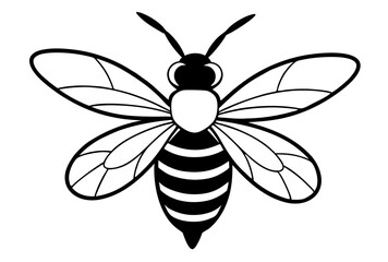 Fototapeta premium bee vector illustration