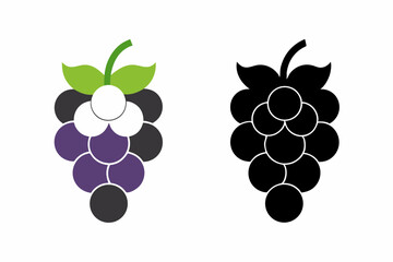 grapes vector illustration