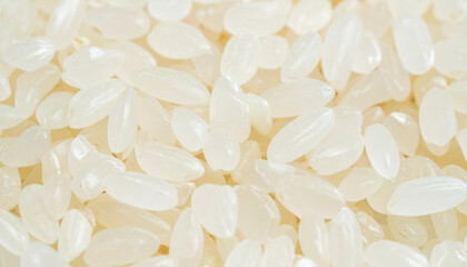 Japanese rice grains with a white and slightly translucent texture. Ideal for concepts related to healthy food, Asian cuisine, cooking ingredients, and traditional nutrition