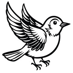 Fototapeta premium Eastern Bluebird illustration white background