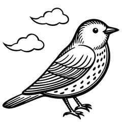 Obraz premium Eastern Bluebird illustration white background