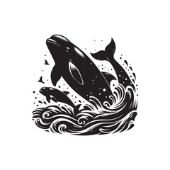 Beluga Whale vector (3).eps