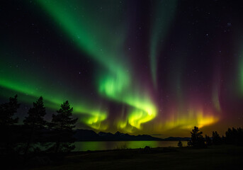 geometric aurora borealis, abstract light ribbons, surreal sky design, landscape abstraction, modern celestial art