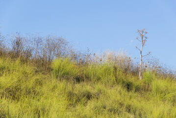 summer countryside landscape inside val d'agri, basilicata