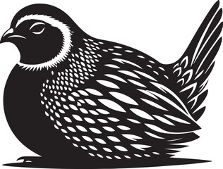 quail silhouette black vector illustration art