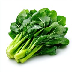 Fresh choy sum vegetable isolated on white background