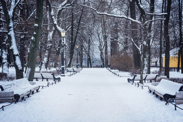 City park view at winter evening.