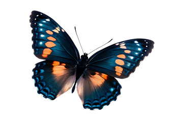 Obraz premium Very beautiful blue orange butterfly in flight isolated on a transparent background.PNG