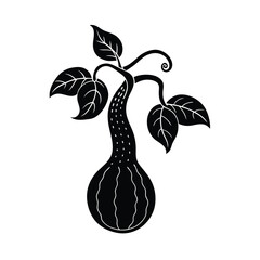 single snake gourd plant