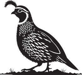 Quail silhouette vector - quail illustration - quail black vector