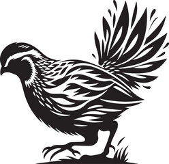 Quail silhouette vector - quail illustration - quail black vector