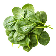 Fototapeta premium Fresh spinach leaves isolated, healthy greens and raw salad ingredients isolated on transparent background.