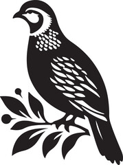 Quail silhouette vector - quail illustration - quail black vector